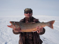 Рыбалка на арктического гольца на Таймыре
