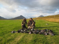 Охота на гусей в Исландии