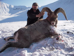 Охота на медведя и рыбалка на Камчатке