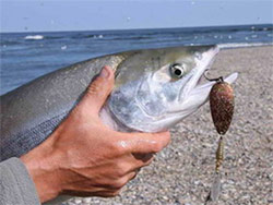 Рыбалка и охота на охотского на реке Улья