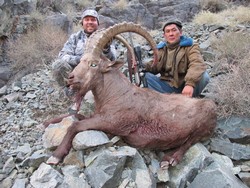 Охота на козерога в Казахстане