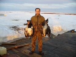 Охота на гуся в Архангельской области