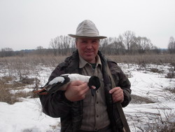 Охота на гуся в Европейской части России