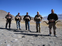 Marco Polo hunt in Pamir