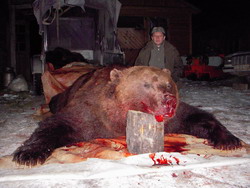 Bear hunting in Kamchatka