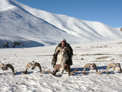 Marco Polo hunting in Tien Shan