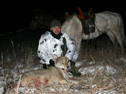 Охота на волка и белохвостую газель