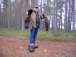 Spring hunt for capercailie and black cock in European Russia