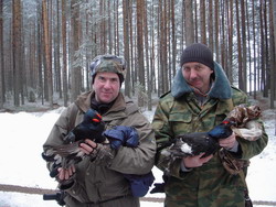Spring hunt for capercailie and black cock in European Russia