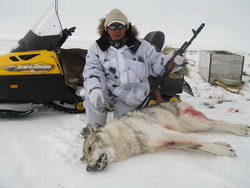Охота на волка со снегохода