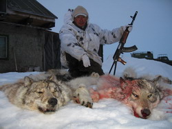 Охота на полярного волка в Якутии со снегохода