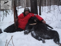 Охота на гималайского медведя на Дальнем Востоке