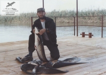 Рыбалка на сома в Астрахани