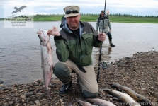 Рыбалка на нельму в Якутии
