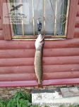 Рыбалка на щуку в Рязани