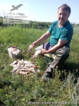 Рыбалка на плотву в Орловской области