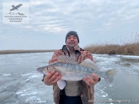 Зимняя рыбалка на судака в Астрахани