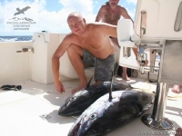 Рыбалка на собакозубых тунцов на Сейшелах