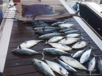 Рыбалка на Сейшелах