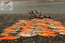 Рыбалка на гольца в Сибири