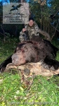 Охота на Камчатке на бурого медведя