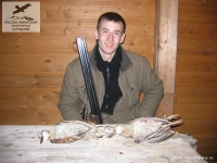 Охота на тяге на вальдшнепов в Архангельской области