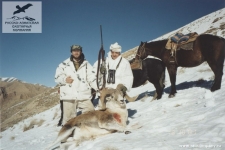 Охота на барана Марко Поло в Киргизии