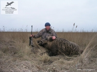 Охота на кабана в Украине