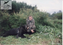 Охота на медведя в Новгородской области