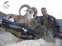 Охота на армянского муфлона в Иране