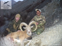 Охота на красного барана в Иране