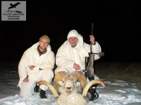 Охота на барана Марко Поло в Таджикистане