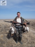 Охота на гусей в Саратовской области