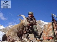 Охота на среднеазиатского козерога в Киргизии