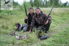 Охота на серую куропатку в Новгородской области