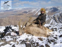 Охота на козерогов в Киргизии