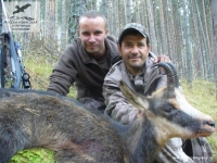 Охота на серну в Карачаево-Черкесии
