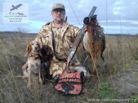 Охота на фазана с русским спаниелем