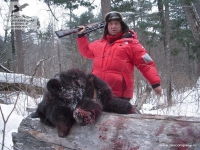 Охота на гималайского медведя на Дальнем Востоке