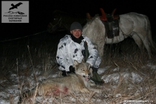 Охота на волка в Монголии