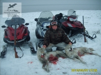 Охота на волка со снегохода в Казахстане