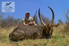Охота на водяного козла в Намибии
