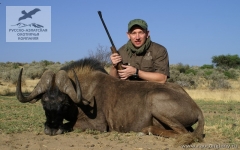 Охота на антилопу гну в Намибии