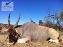 Охота на капского иланда в Намибии