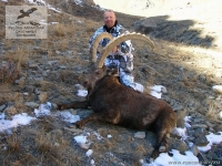 Охота на козерога в Киргизии