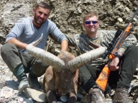 Охота на дагестанского тура в Азербайджане