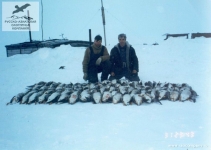 Охота на гусей в Нарьян-Маре