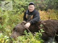 Охота на бурого медведя на Камчатке
