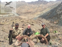 Охота в Киргизии на козерога