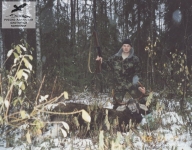 Охота на лося в Архангельской области
